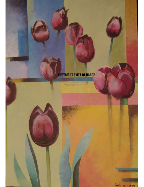 Tulips